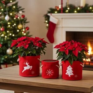 karácsonyi kaspó szett